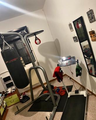 Palestra