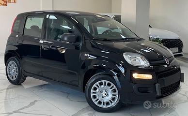 Fiat Panda Pandina 1.0 FireFly 65 CV Hybrid Icon 5
