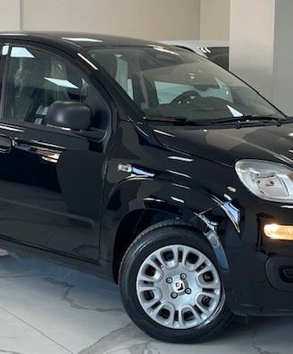 Fiat Panda Pandina 1.0 FireFly 65 CV Hybrid Icon 5