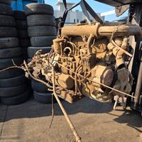 MOTORE TIGROTTO 55 CO 3 