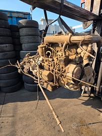 MOTORE TIGROTTO 55 CO 3 