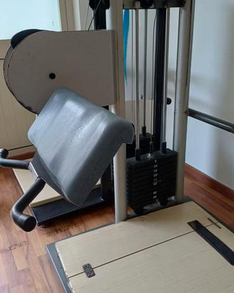 Macchinario palestra Biceps Curl