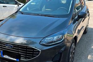 Fiesta Titanium 1.1 GPL