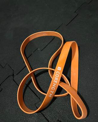 Articoli da palestra