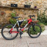 Mountain bike 