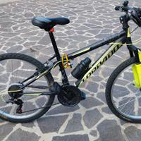 bicicletta mountain bike Torpado