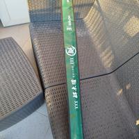 Canna da pesca yamashita egi oh egido