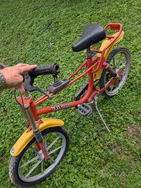 bicicletta 