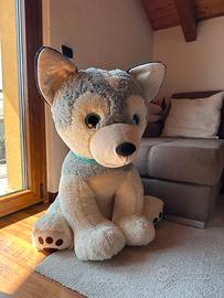 Peluche gigante cane