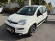 Fiat Panda 1.0 FireFly S&S Hybrid Red