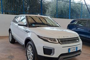 Land Rover Range Evoque 2.0 TD4 150 CV 5p. PURE