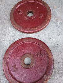 Set di 4 pesi da 2 kg e 2 da 1kg