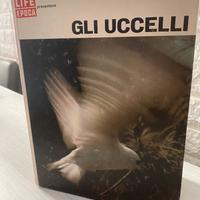 Gli Uccelli