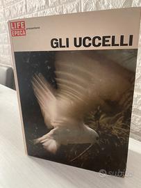 Gli Uccelli