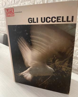 Gli Uccelli
