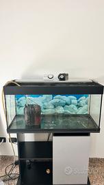 Acquario 200L