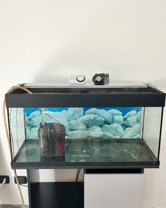 Acquario 200L