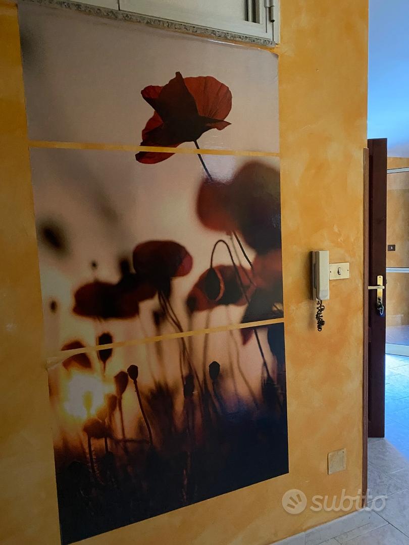 Apartment in Otieri/Ozieri, Tàttari/Sassari - Vista 3