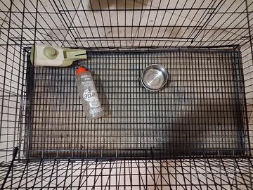 gabbietta per conigli da casa