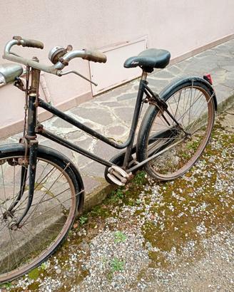 Bicicletta da fonna