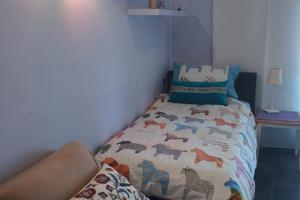 Stanza ampia in appartamento tranquillo