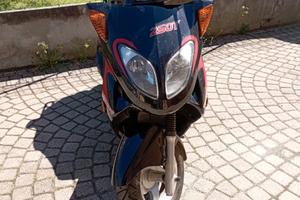 Altro Altro modello - 2008