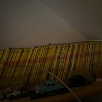 Numeri di topolino sparsi