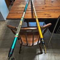 2 canne da pesca in carbonio