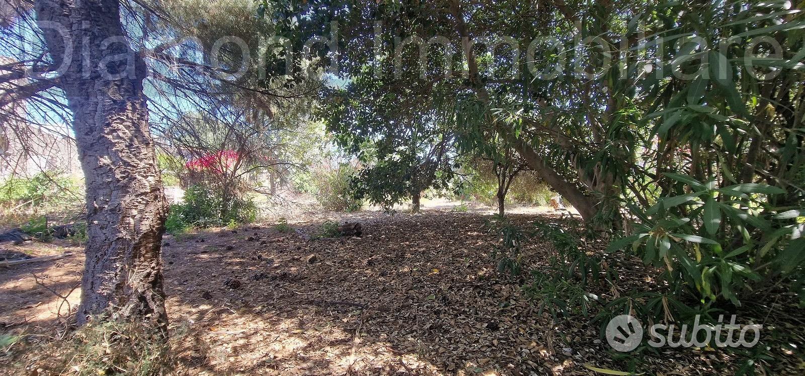 Antico casale con terreno a Carrubba di Giarre - Altro