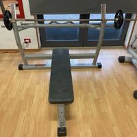 Panca per pettorali con Bilancere (TECA FITNESS)