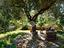 Immagine 27