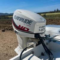 Motore fuoribordo Evinrude etec 40 HO