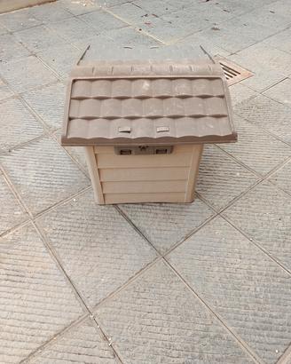 cuccia cane