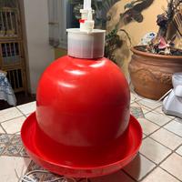 Abbeveratoio per galline