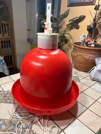 Abbeveratoio per galline