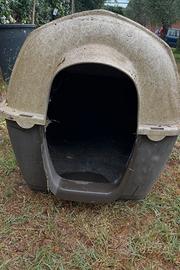 Cuccia per Cane