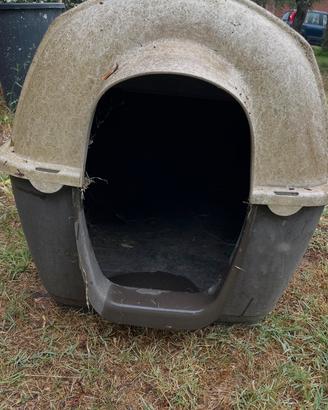 Cuccia per Cane