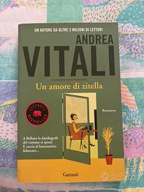 Andrea Vitali, Un amore di zitella