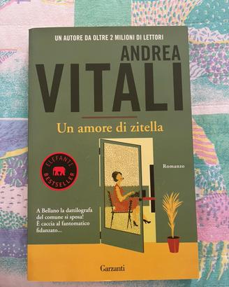 Andrea Vitali, Un amore di zitella