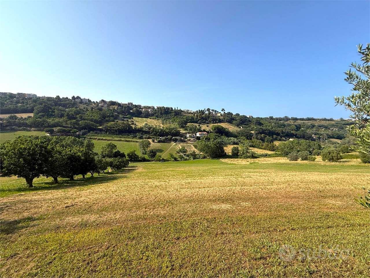 LOTTO DI TERRENO AGRICOLO in ZONA CAMPOFILONE - Vista 4