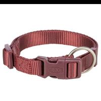 collare e guinzaglio 