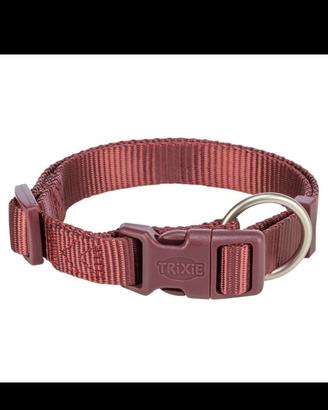 collare e guinzaglio 