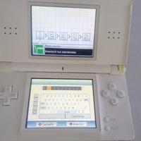 Nintendo DS lite