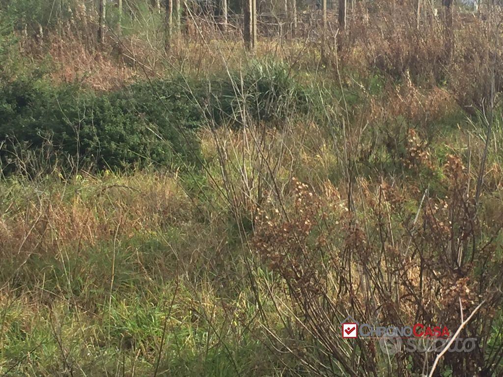 Terreno a Castanea Rif.MFE-5493 - Vista 2