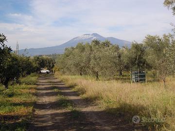 CASA 131 mq cat. C-2 con terreno 7.167 mq