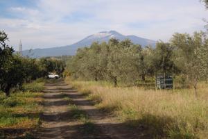 CASA 131 mq cat. C-2 con terreno 7.167 mq