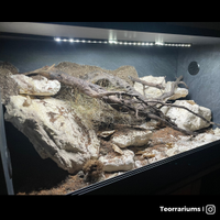 Terrario 80x40x40 ecosistema arido e roccioso