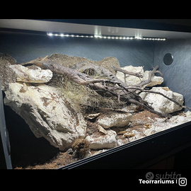 Terrario 80x40x40 ecosistema arido e roccioso