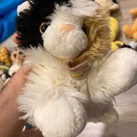 Peluche gatto