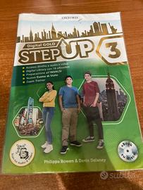 Step up 3